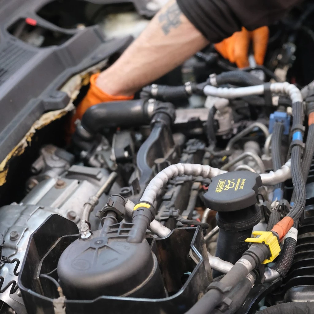 foto de los servicios